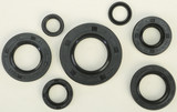 Vertex Oil Seal Set 822164