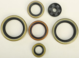 Vertex Oil Seal Set 822370