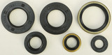 Vertex 822185 Vertex Oil Seal Set 822185