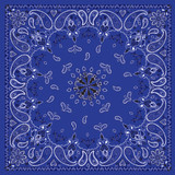 Zan Bandanna Navy Paisley B002