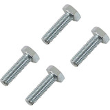 MOOSE RACING 0396A07 Moose Racing Rotor Bolts - Front - Honda 039-6A07