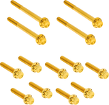 Arlen Ness Hardware Kit Titanuim 12Pt Primary Cover Gold 300-931