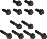 ARLEN NESS 300-993 Arlen Ness Hardware Kit Titanuim 12Pt Rocker Box Black 300-993