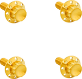 Arlen Ness Bolts Kit Titanium 12Pt Front Fender Gold 300-817