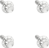 Arlen Ness Bolt Kit Titanium 12Pt  Windshield Polish 300-839