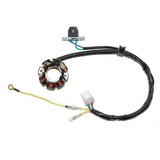 ELECTROSPORT ESL405 Electrosport Lighting Stator Suzuki Rm-Z450 - 50W Esl405