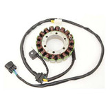 ELECTROSPORT ESG309 Electrosport Electrosport Stator Suzuki Dr650 / Se (96-11) Esg309