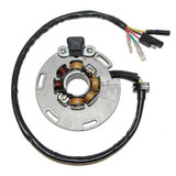 ELECTROSPORT ESL452 Electrosport Lighting Stator Rm125 (87-91) Rm250 (87-93) Esl452