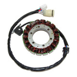 Electrosport Electrosport Stator Yamaha 2-04) Esg435
