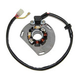 ELECTROSPORT ESL239 Electrosport Electrosport Lighting Stator - Ktm (06-On) Esl239