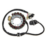 Electrosport Electrosport Stator Yamaha Yfm350 Warrior/Big Bear Esg431