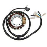 Electrosport Electrosport Stator Honda Xr650R/400R - High Power (2X100W) Esg443