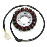 Electrosport Electrosport Stator Aprilia Caponord Esg918