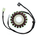 Electrosport Electrosport Stator Triumph Esg968 Esg968