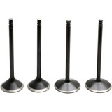 KIBBLEWHITE 2022800 Kibblewhite Valve Kit - Evolution/1200 20-22800