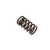 PSYCHIC PRODUCTS XU-09521S Psychic Products Psychic Exhaust/Intake Valve Spring Xu-09521S