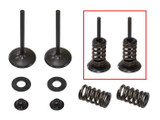 PSYCHIC PRODUCTS XU-09164IK Psychic Products Psychic Intake Valve Kit Xu-09164Ik
