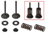 PSYCHIC PRODUCTS XU-09528EK Psychic Products Psychic Exhaust Valve Kit Xu-09528Ek