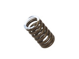 Psychic Products Exhaust Valve Spring Xu-09560Es