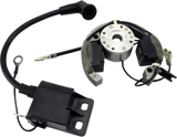 Rm Stator RMS900-107608 Rm Stator Stator Rotor Ignition Kit Sx Mini Rms900-107608