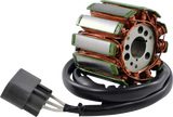 Rm Stator RM01303 Rm Stator Stator Gen Yamaha Fz1/Fz8/Yzf Rm01303