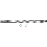 Race Tech Fork Springs - 0.90 Kg/Mm Frsp 4374090