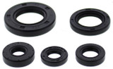 Vertex Engine Oil Seal Kit 822990