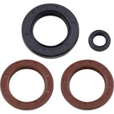 Vertex Engine Oil Seal Kit 622206