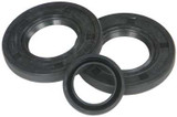 Vertex Jet Pump Seal Kit 623119