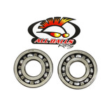 Crankshaft Bearing And Seal Kit 24-1033