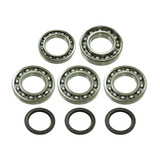 Bronco Differntial Bearing Kit AT-03A07