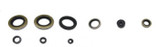 Psychic Engine Oil Seal Kit AT-09616