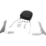 Cobra Sissy Bar - Standard - Raider 02-5265