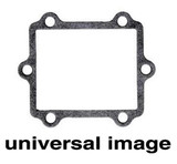 Vforce 3 Gasket G381
