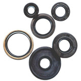Vertex Engine Oil Seal Kit 822881