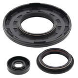 Vertex Engine Oil Seal Kit 55217