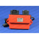 Rick'S Electric Hot Shot Yamaha Ecu Box 15-420