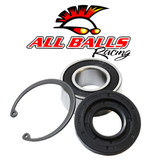 Inner Primary Ball Bearing And Seal Kit 25-3102