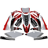 D'COR VISUALS 2010442 D'Cor Visuals Graphic Kit - Honda 20-10-442