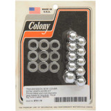 COLONY 875119 Colony Acorn Nut Kit - Transmission Side Cover 8751-19