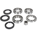 MOOSE RACING 252101 Moose Racing Differential Bearing/Seal Kit - Arctic Cat - Rear 25-2101