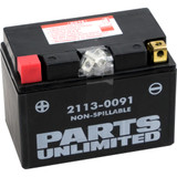 Parts Unlimited Agm Battery - Ytz12S