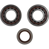 MOOSE RACING 241106 Moose Racing Crank Bearings And Seals - Ktm 24-1106
