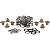 KIBBLEWHITE 2021800 Kibblewhite Beehive Spring Kit - 0.625" Lift - Titanium - M8 | Cvo 20-21800