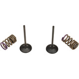 Prox Valve And Spring Kit - Intake - Kawasaki 28.Sis4338-2