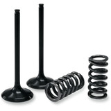 Prox Valve And Spring Kit - Intake - Kawasaki 28.Sis4409-2