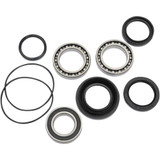 PIVOT WORKS PWRWKH29003 Pivot Works Wheel Bearing Kit - Rear Pwrwk-H29-003