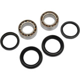 Pivot Works Wheel Bearing Kit - Front - Trx300Fw Pwfwk-H20-003