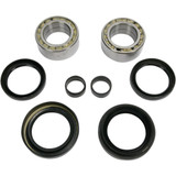 Pivot Works Wheel Bearing Kit - Front - Honda Pwfwk-H16-003