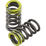 XCELDYNE PSIMX2104 Xceldyne Valve Springs - Intake - Kawasaki | Suzuki Psimx2104